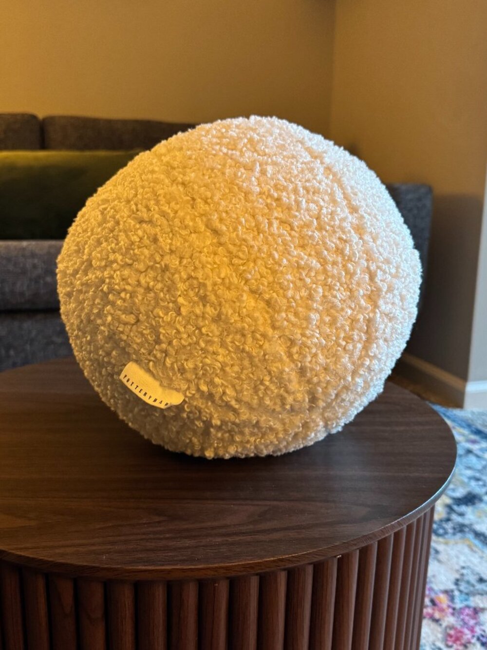 Pottery Barn teddy sphere pillow